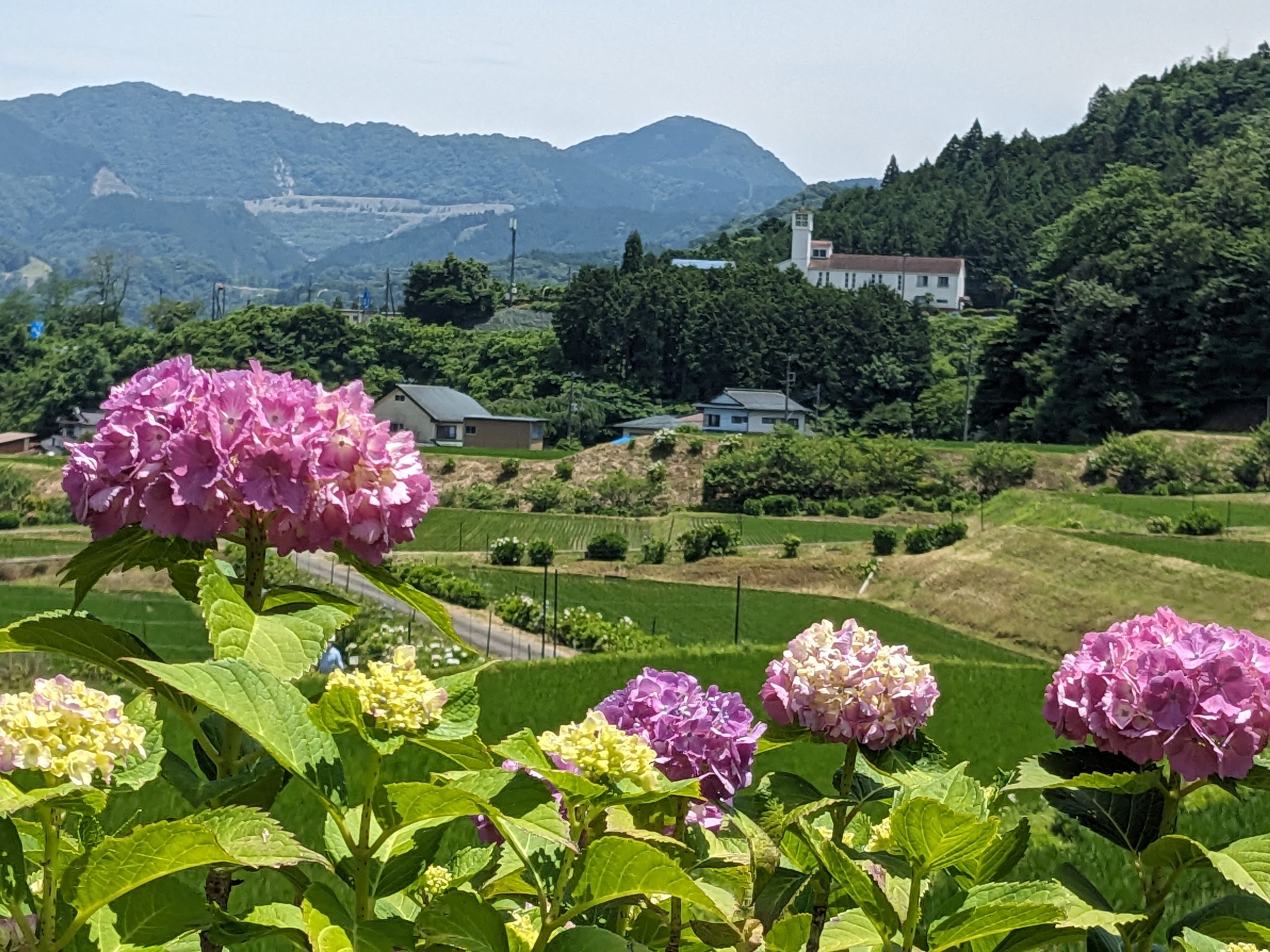 勝俣のぼる official website